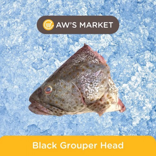 Fresh Black Grouper Head